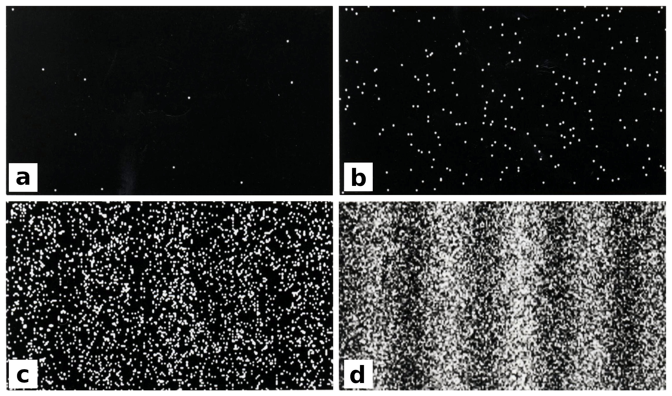 Four panels showing electrons building up an interference pattern one at a time, from a sparse scatter of dots to a full fringe pattern