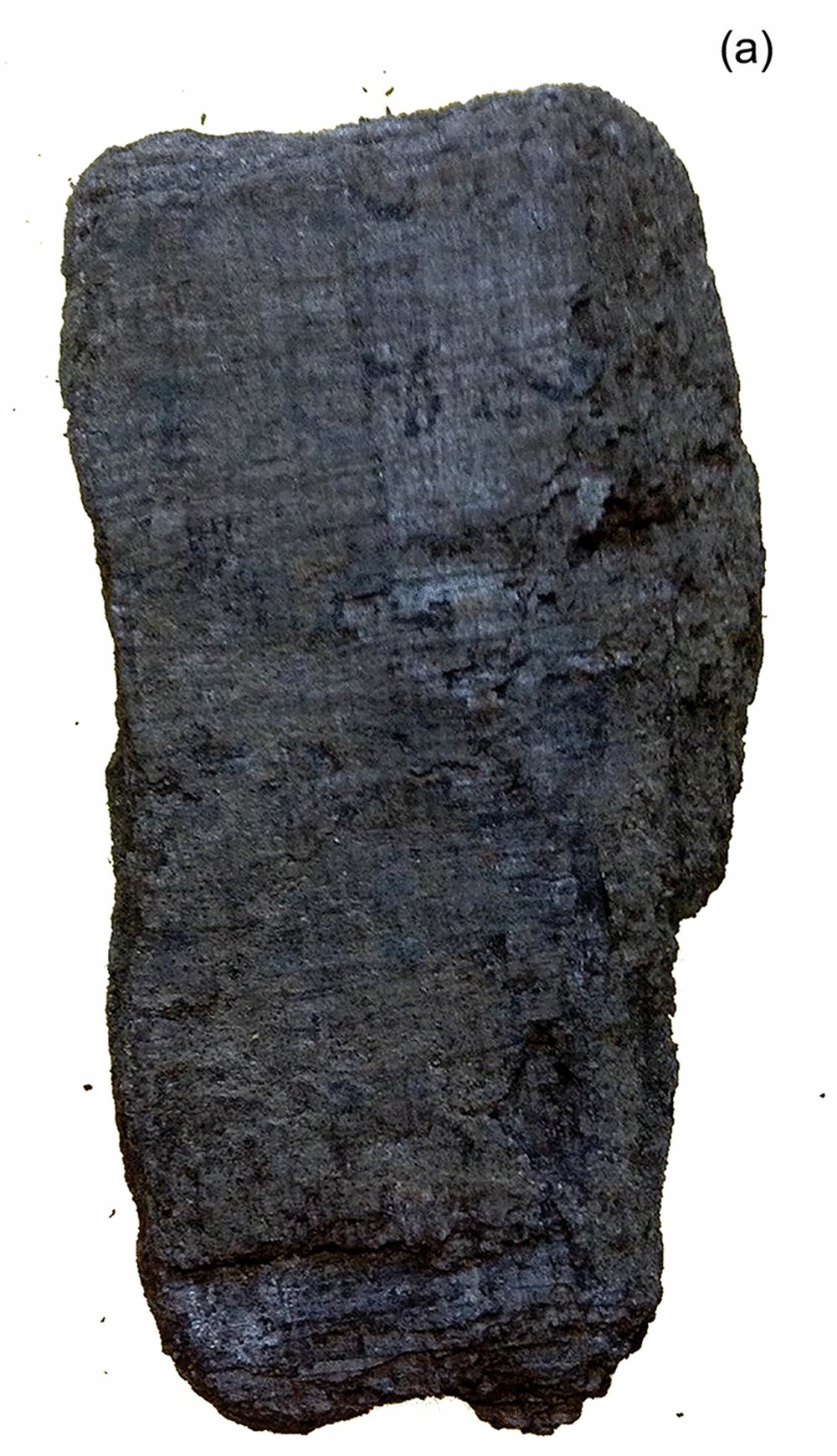 A carbonized papyrus scroll fragment from Herculaneum